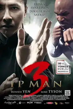 Yip Man 3