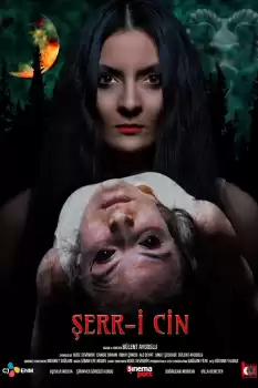Şerr-i Cin