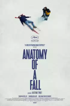 Bir Düşüşün Anatomisi
