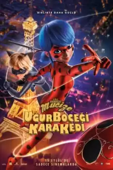 Mucize Uğur Böceği ile Kara Kedi