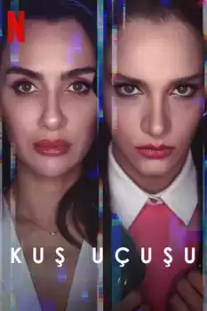 Kuş Uçuşu