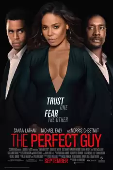 The Perfect Guy